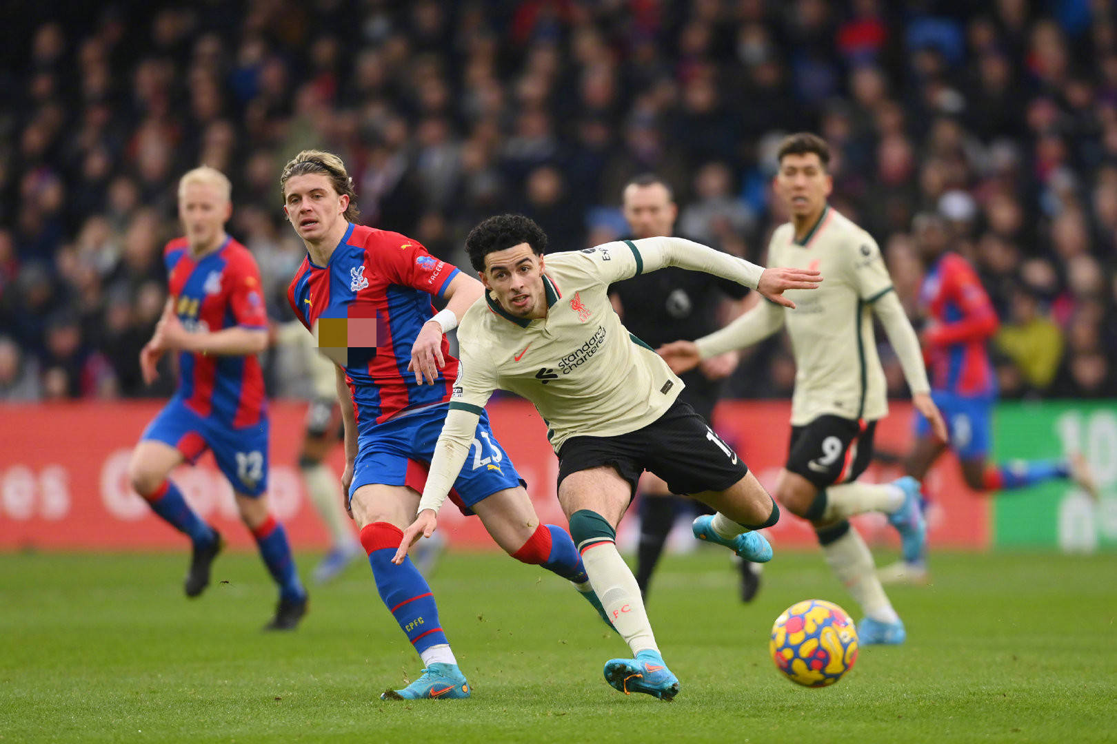 視發展聯盟 視發展聯盟